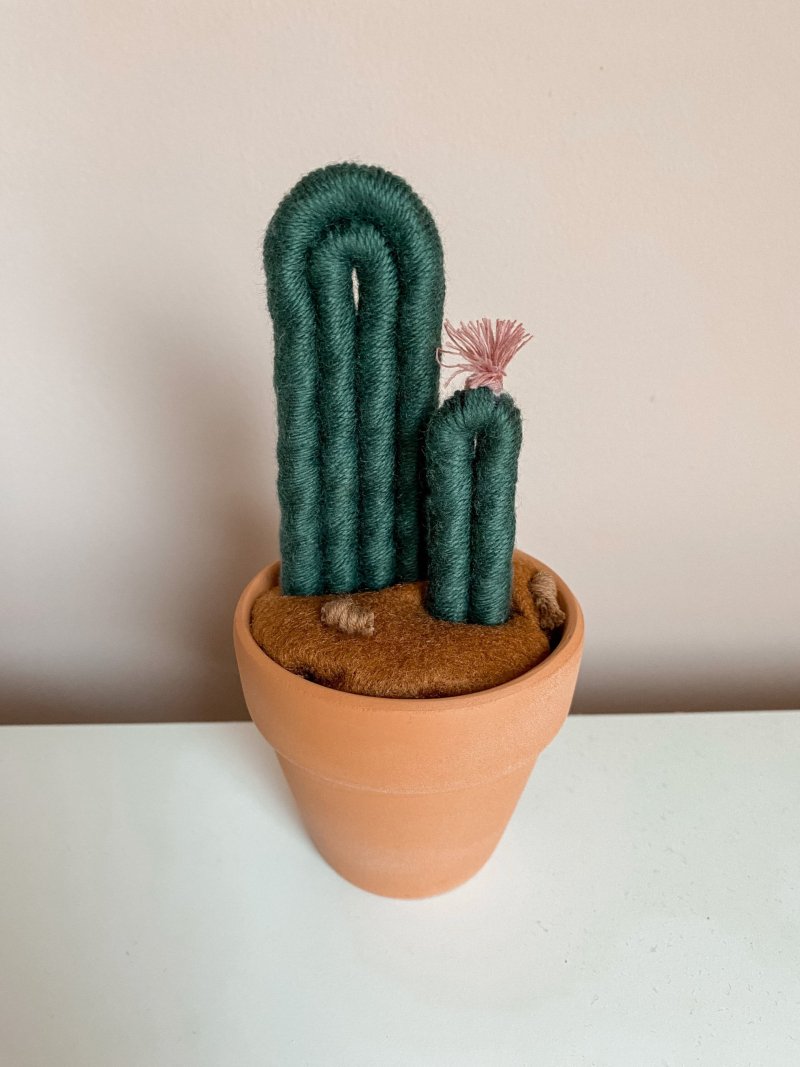Cactus #4